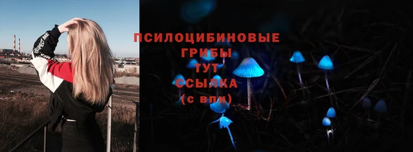 крисы Володарск