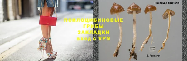 крисы Волоколамск
