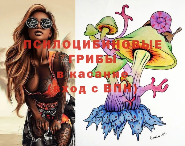 крисы Волоколамск