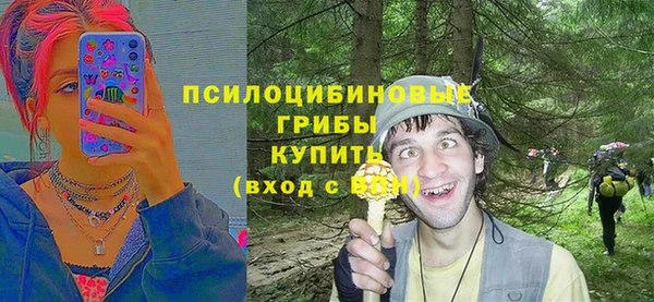крисы Володарск